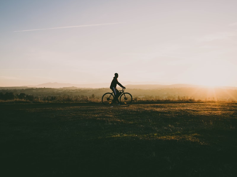 Über VignetteTial Click